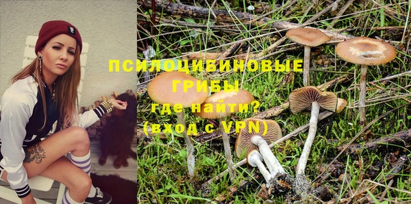 мдма Лагань