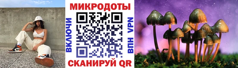 Псилоцибиновые грибы Psilocybine cubensis  Купить  Муром 